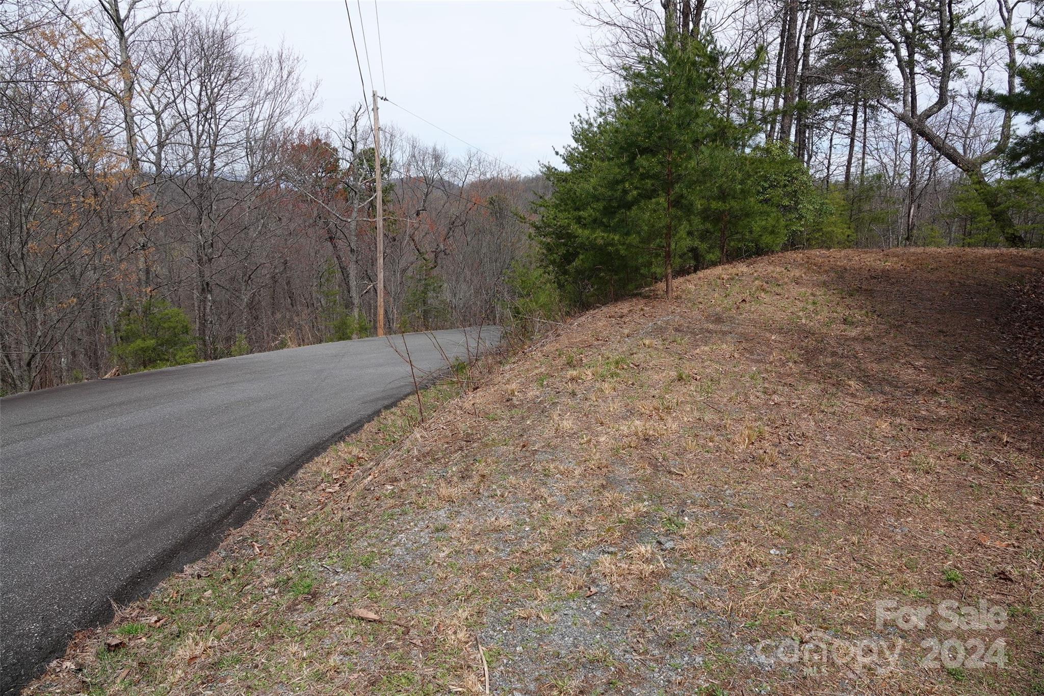 69 Arbra Mountain Road Bostic, NC 28018 - Photo 2 of 16 Gallery Image 2
