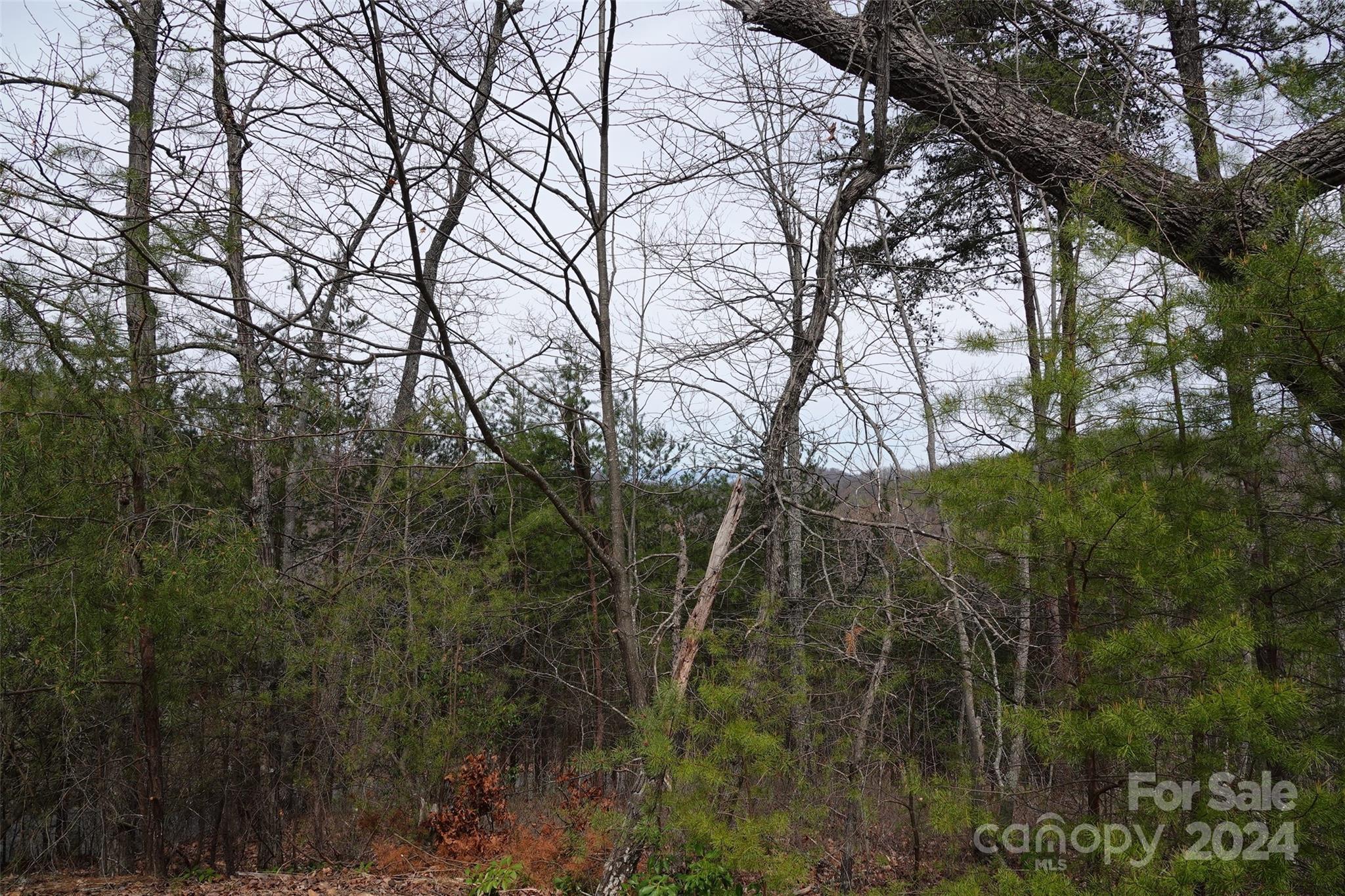69 Arbra Mountain Road Bostic, NC 28018 - Photo 4 of 16 Gallery Image 4