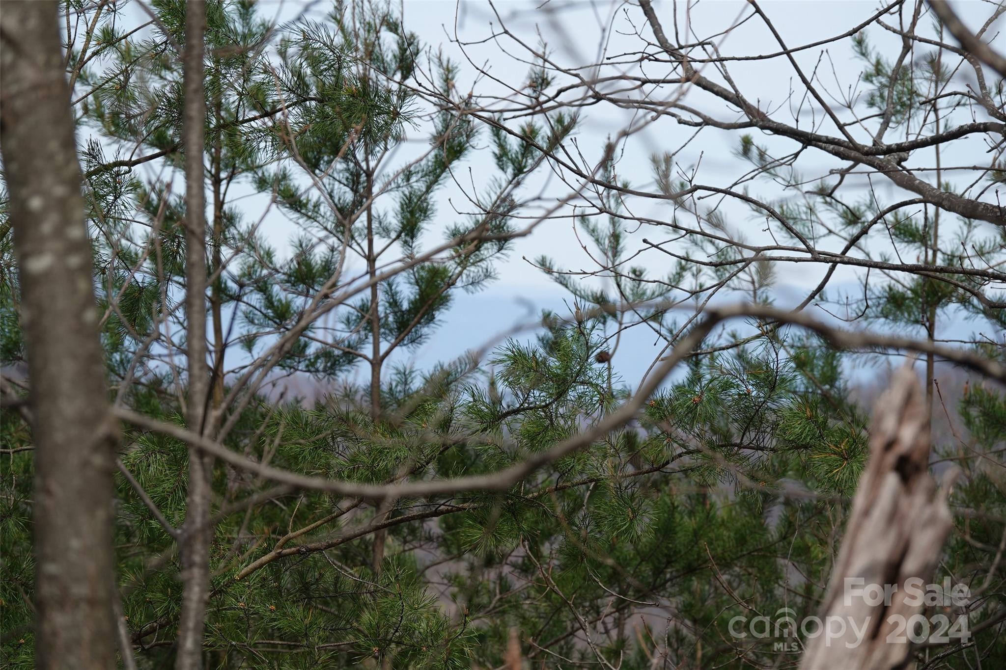 69 Arbra Mountain Road Bostic, NC 28018 - Photo 5 of 16 Gallery Image 5
