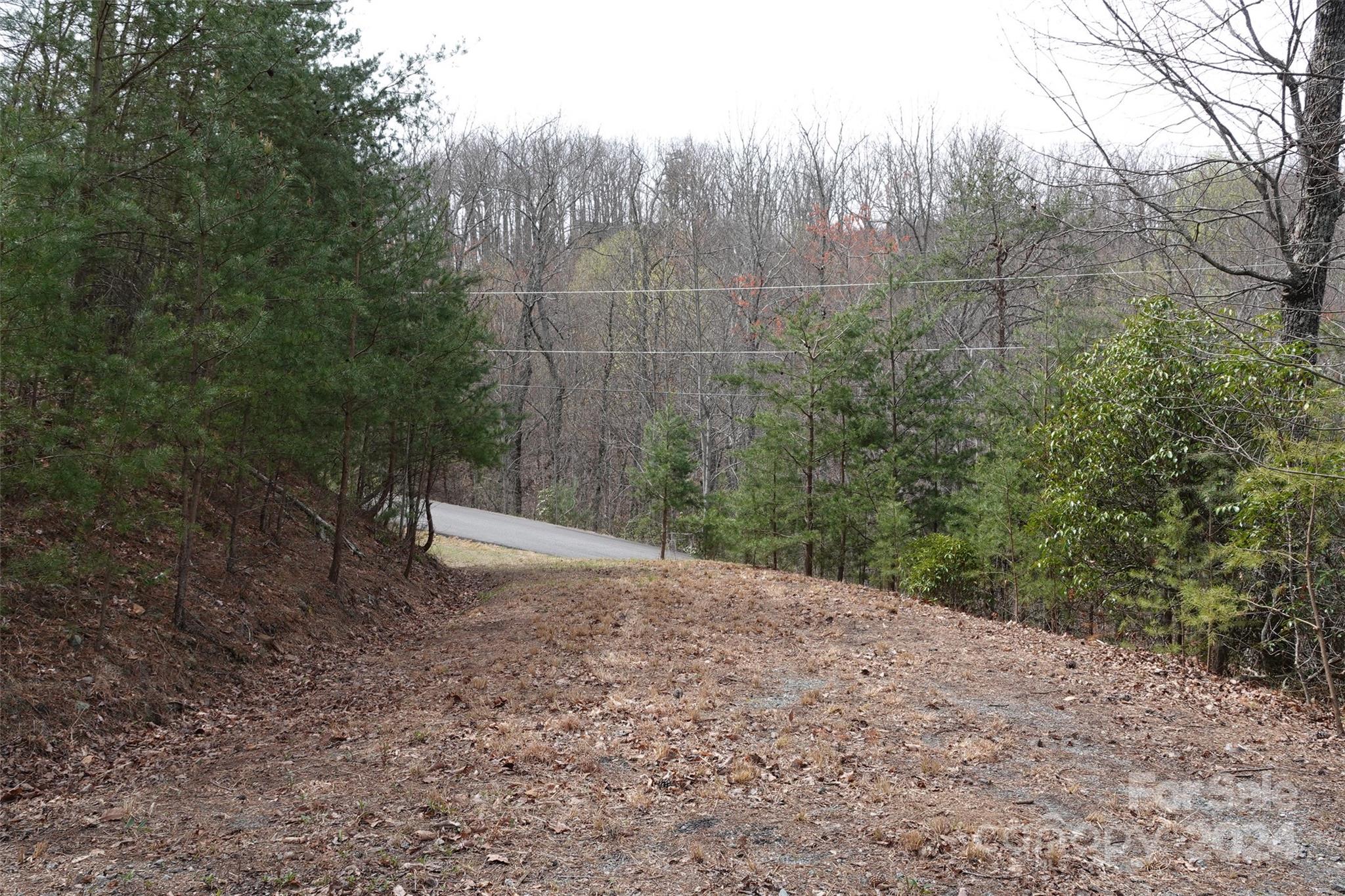 69 Arbra Mountain Road Bostic, NC 28018 - Photo 6 of 16 Gallery Image 6