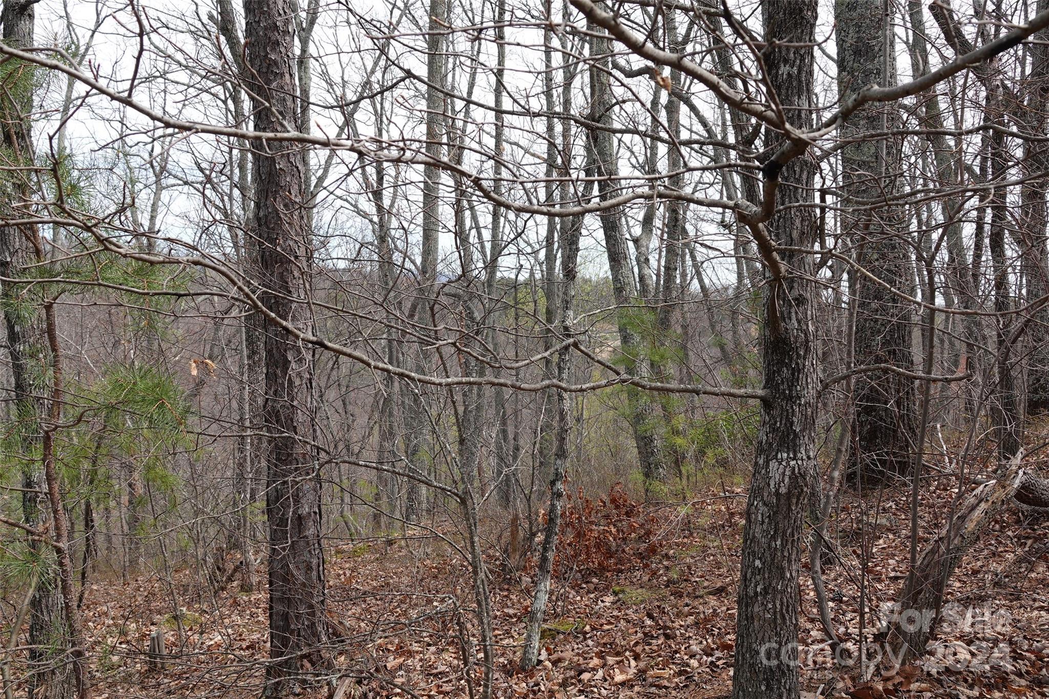 69 Arbra Mountain Road Bostic, NC 28018 - Photo 7 of 16 Gallery Image 7