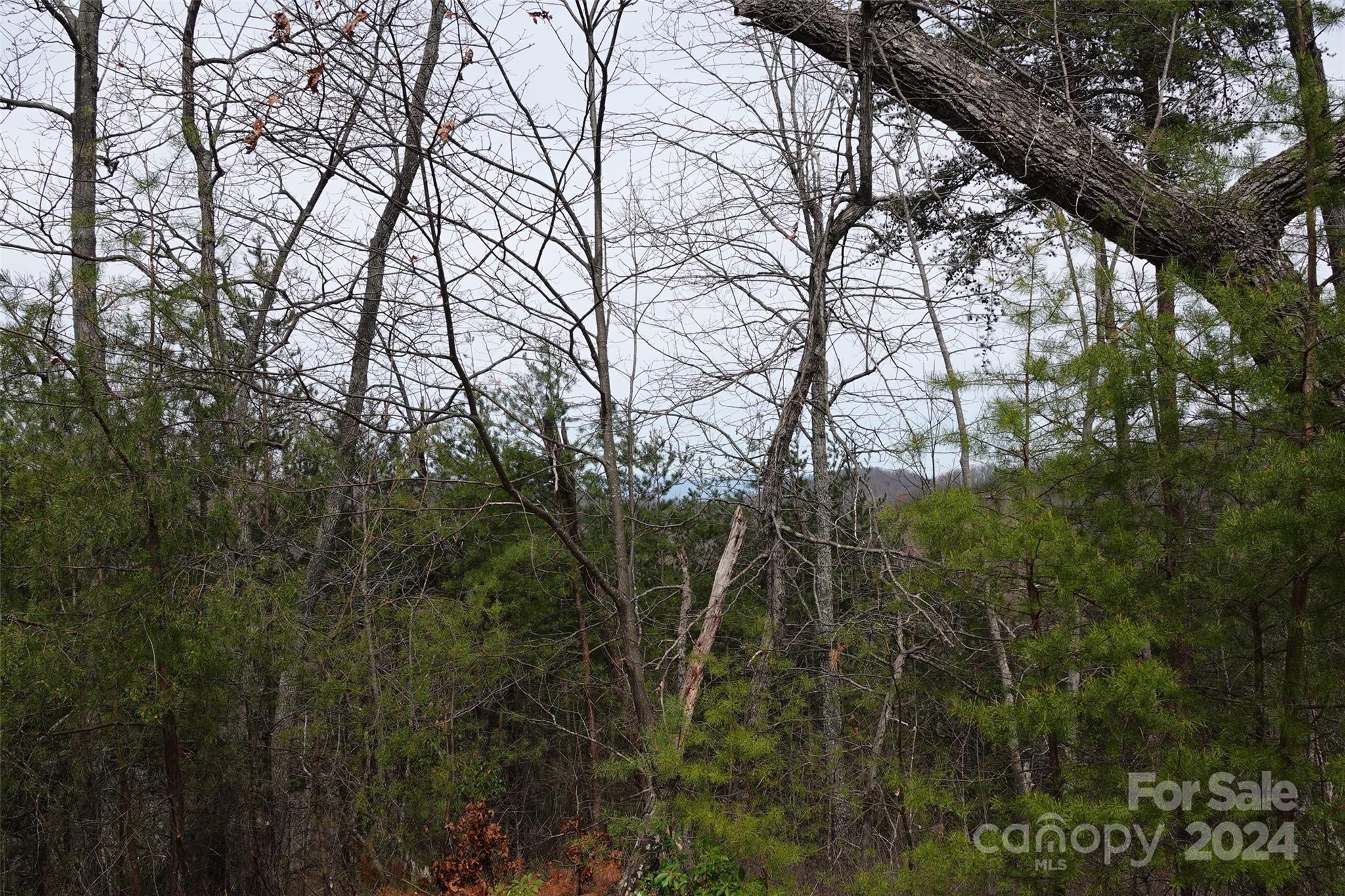69 Arbra Mountain Road Bostic, NC 28018 - Photo 9 of 16 Gallery Image 9