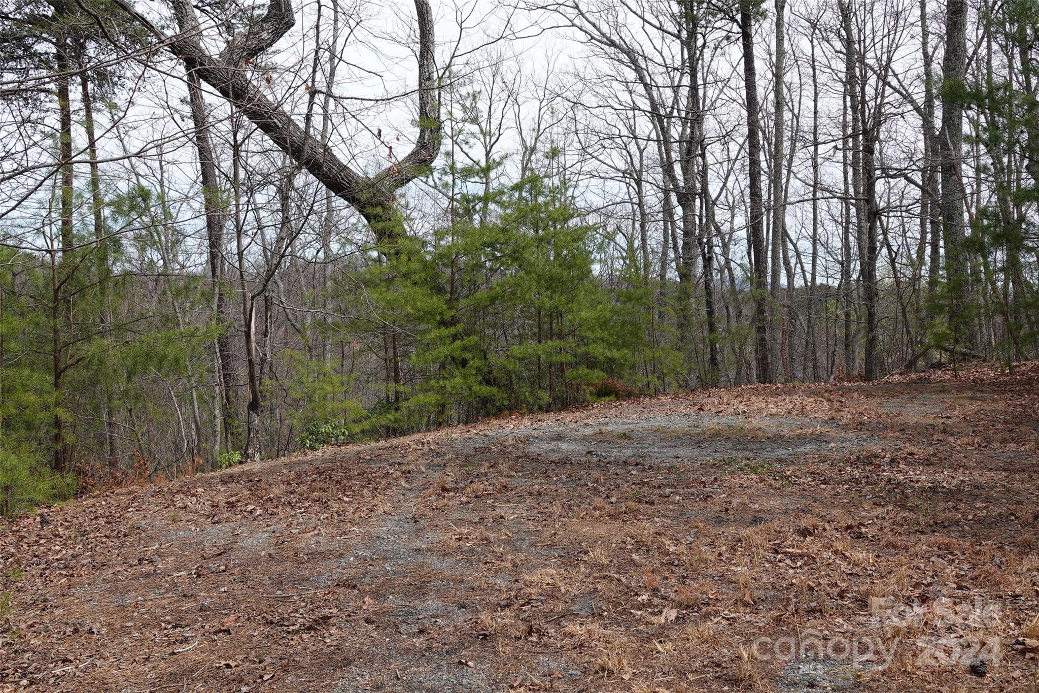 69 Arbra Mountain Road Bostic, NC 28018 - Photo 10 of 16 Gallery Image 10