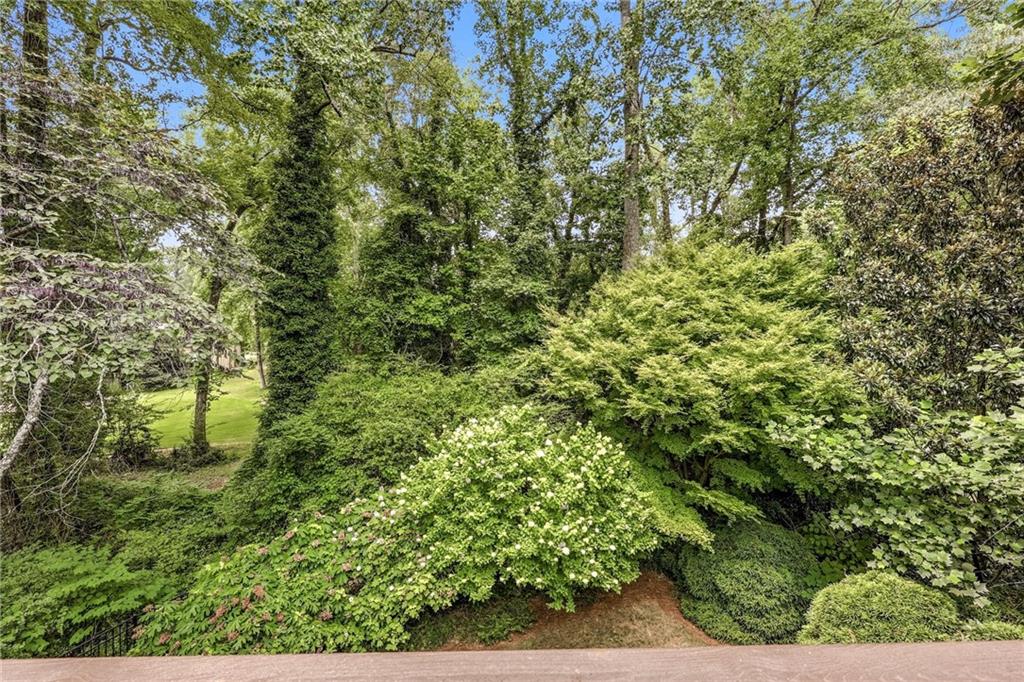 1281 Springdale Road Gainesville, GA 30501 - Photo 91 of 91