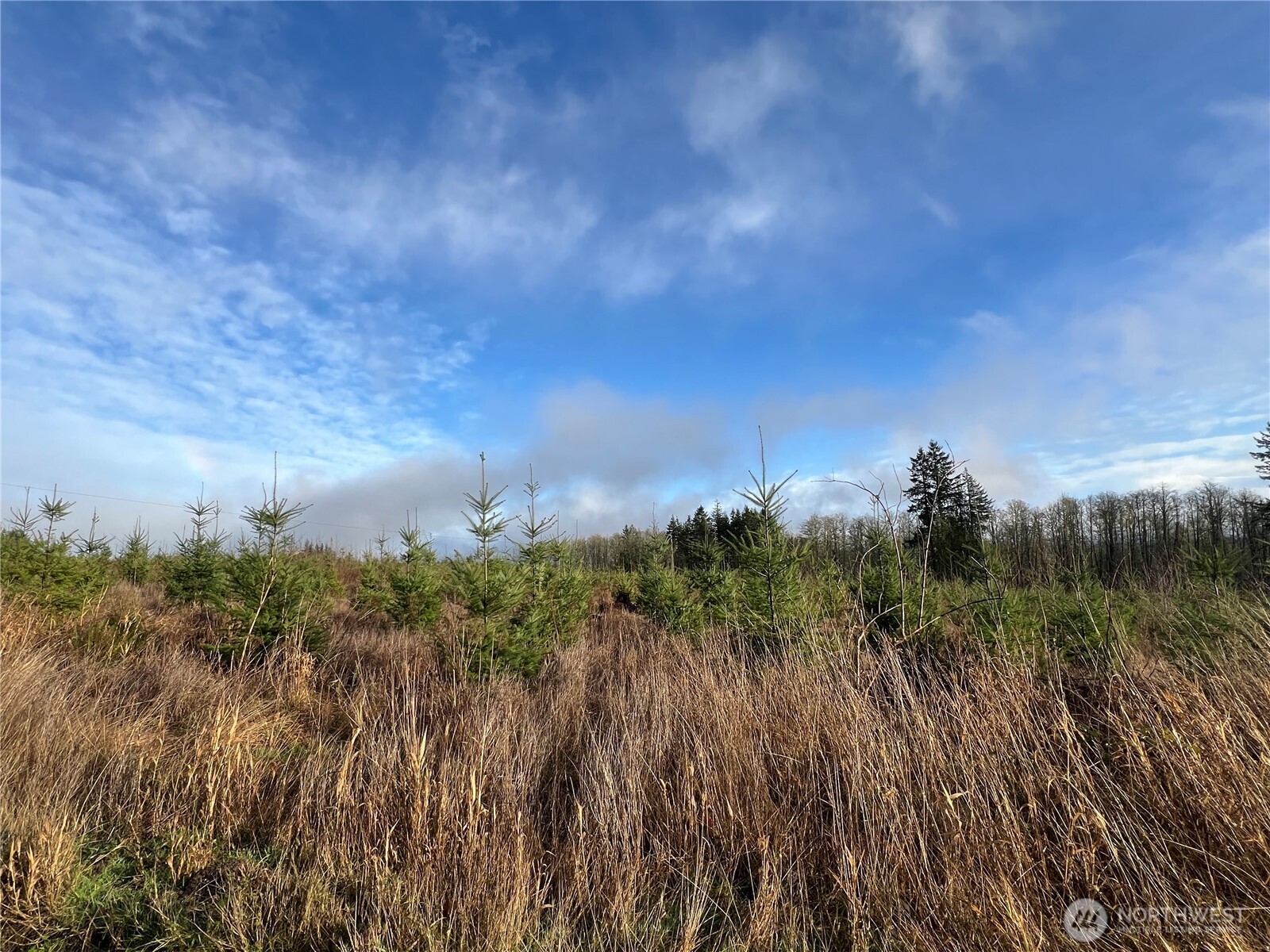 2-xxx Snow Creek Road Quilcene, WA 98376 - Photo 11 of 29