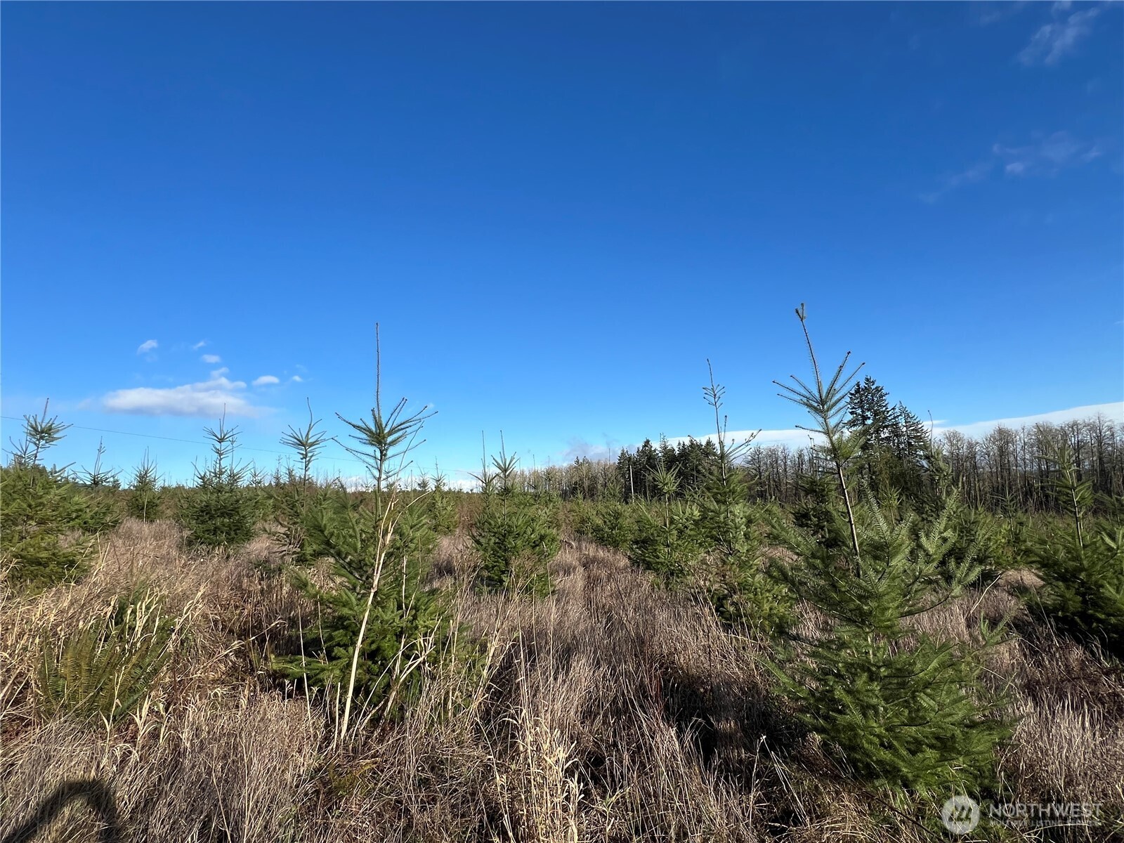 2-xxx Snow Creek Road Quilcene, WA 98376 - Photo 12 of 29