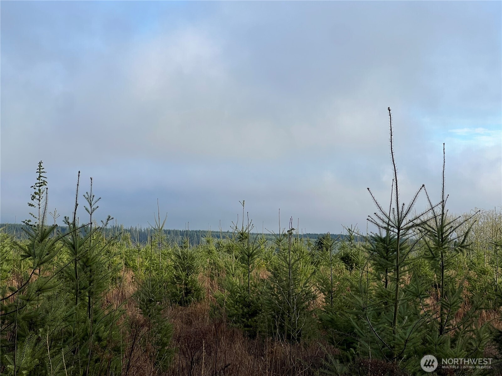 2-xxx Snow Creek Road Quilcene, WA 98376 - Photo 13 of 29
