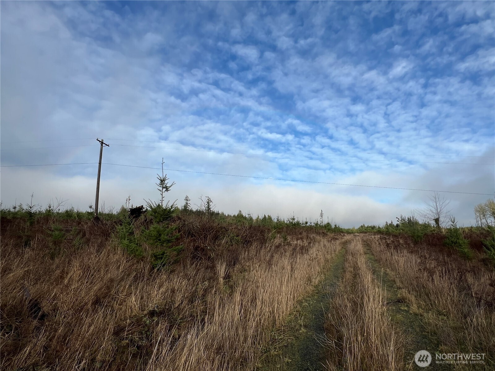 2-xxx Snow Creek Road Quilcene, WA 98376 - Photo 14 of 29