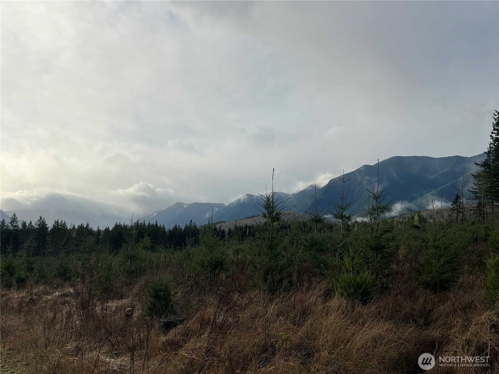 2-xxx Snow Creek Road Quilcene, WA 98376 - Photo 15 of 29