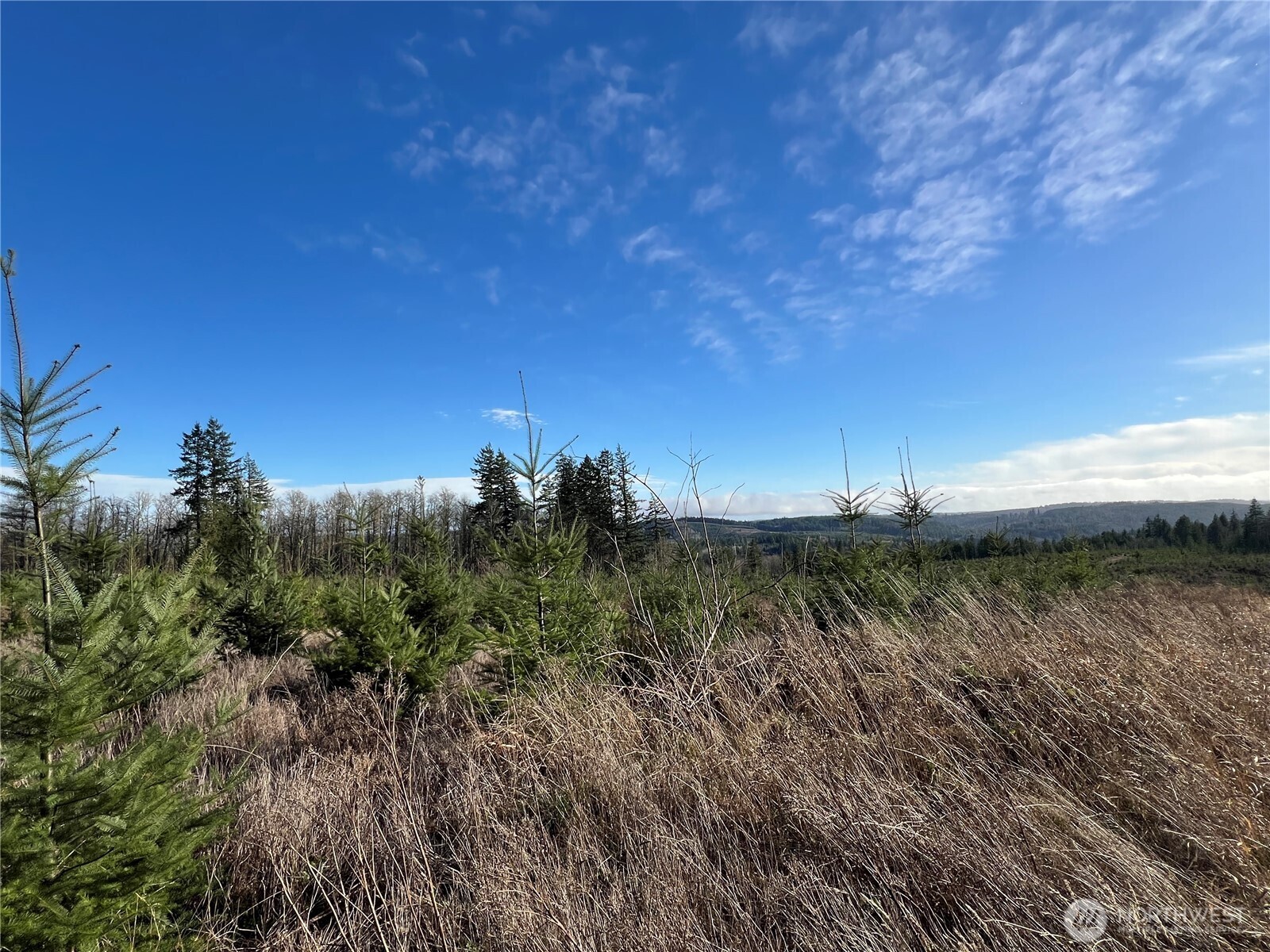 2-xxx Snow Creek Road Quilcene, WA 98376 - Photo 16 of 29