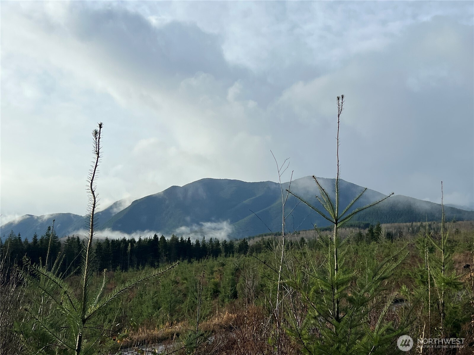 2-xxx Snow Creek Road Quilcene, WA 98376 - Photo 17 of 29