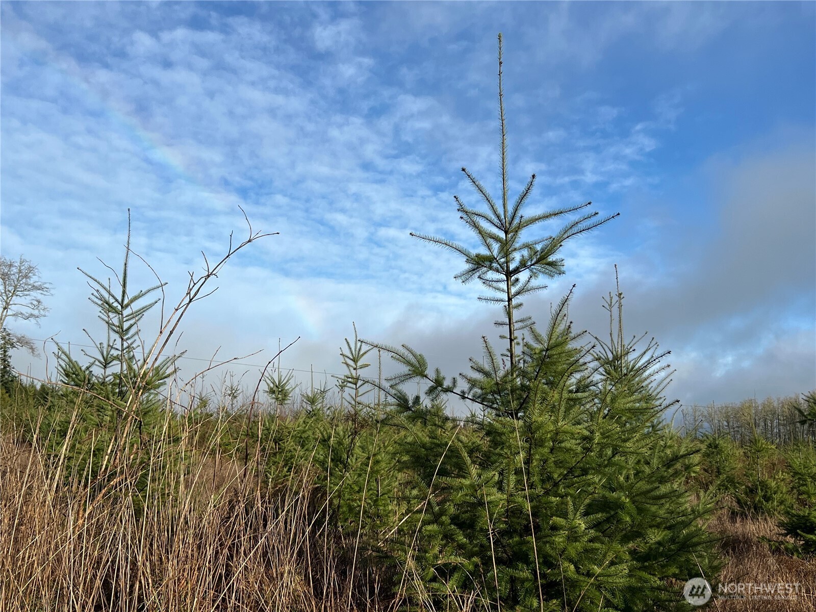 2-xxx Snow Creek Road Quilcene, WA 98376 - Photo 18 of 29