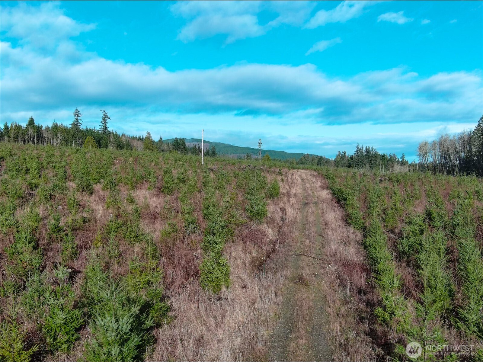 2-xxx Snow Creek Road Quilcene, WA 98376 - Photo 21 of 29