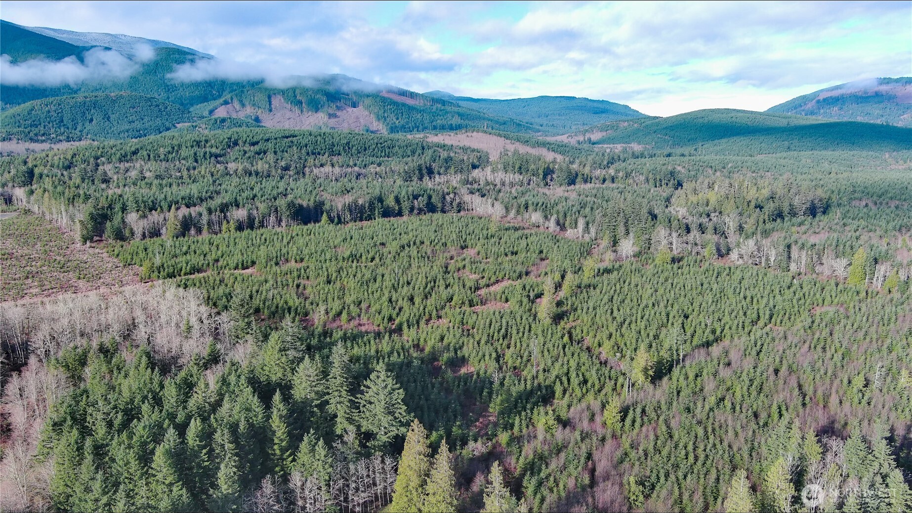 2-xxx Snow Creek Road Quilcene, WA 98376 - Photo 24 of 29