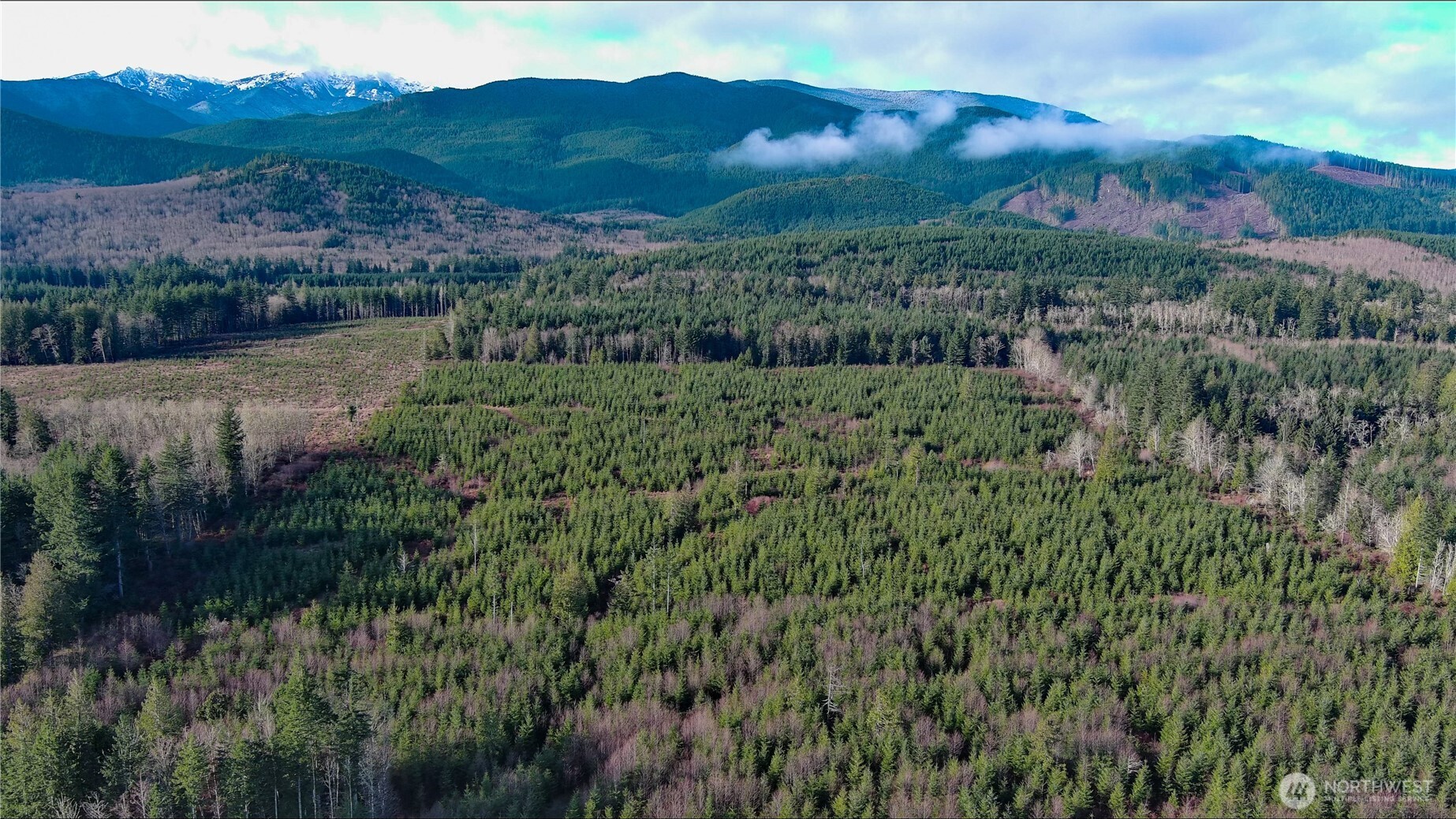 2-xxx Snow Creek Road Quilcene, WA 98376 - Photo 25 of 29