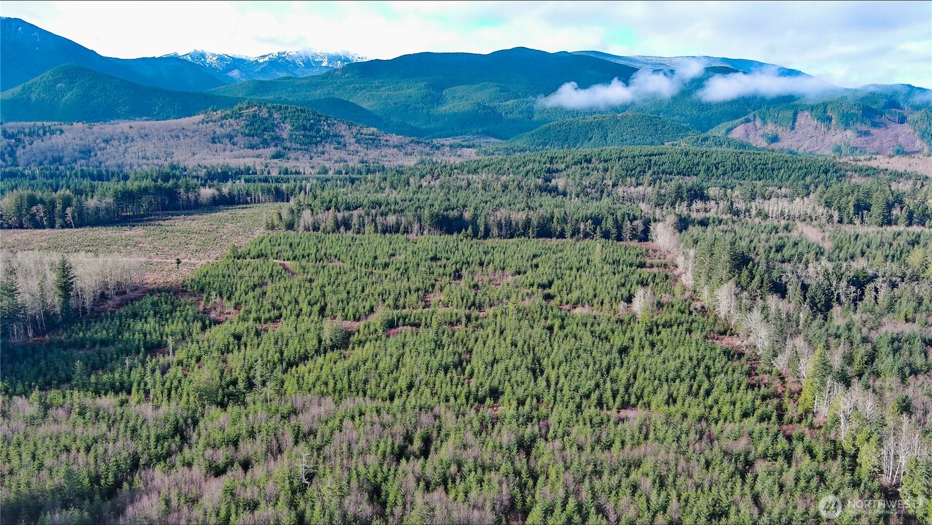 2-xxx Snow Creek Road Quilcene, WA 98376 - Photo 26 of 29
