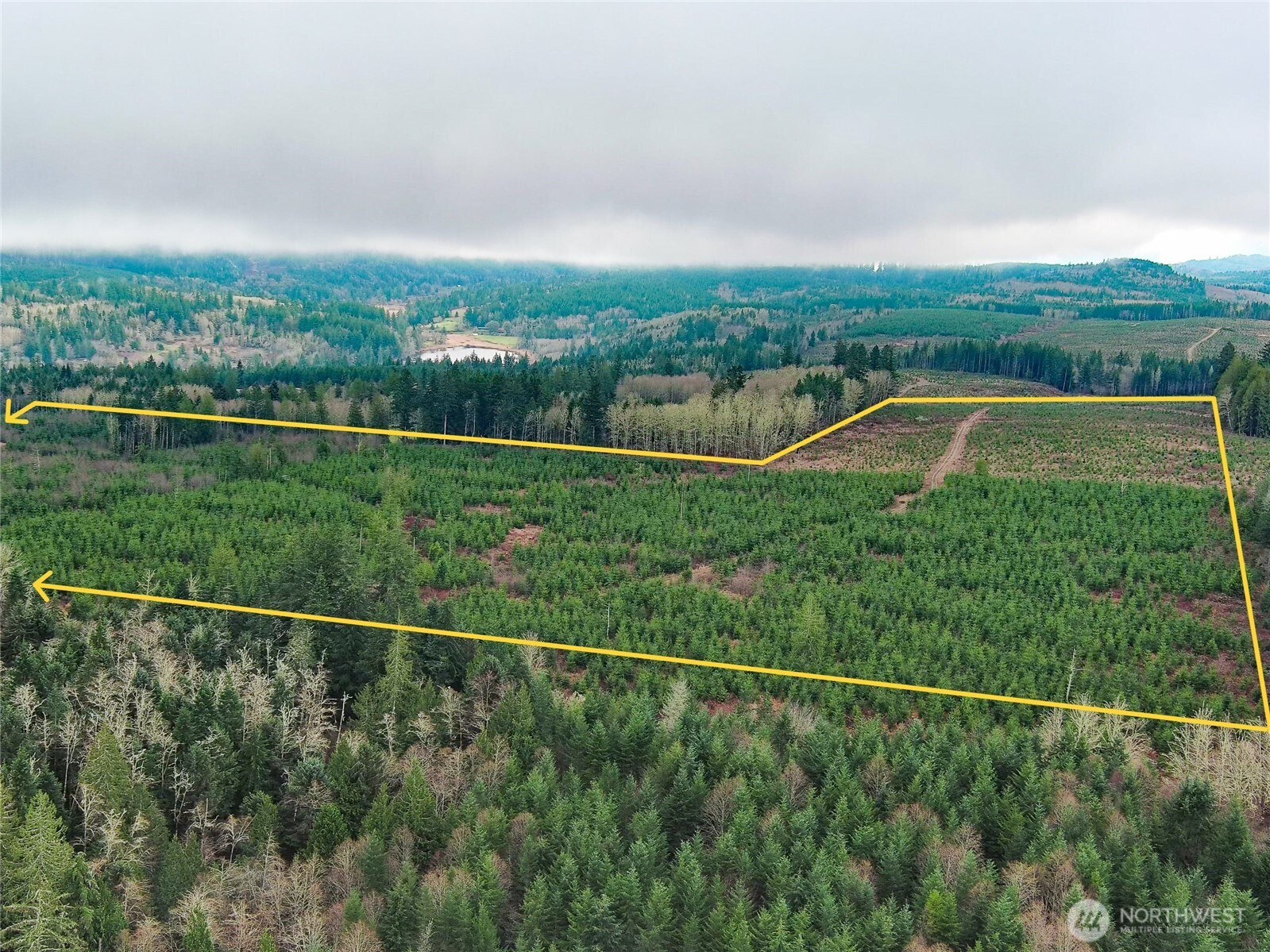 2-xxx Snow Creek Road Quilcene, WA 98376 - Photo 5 of 29