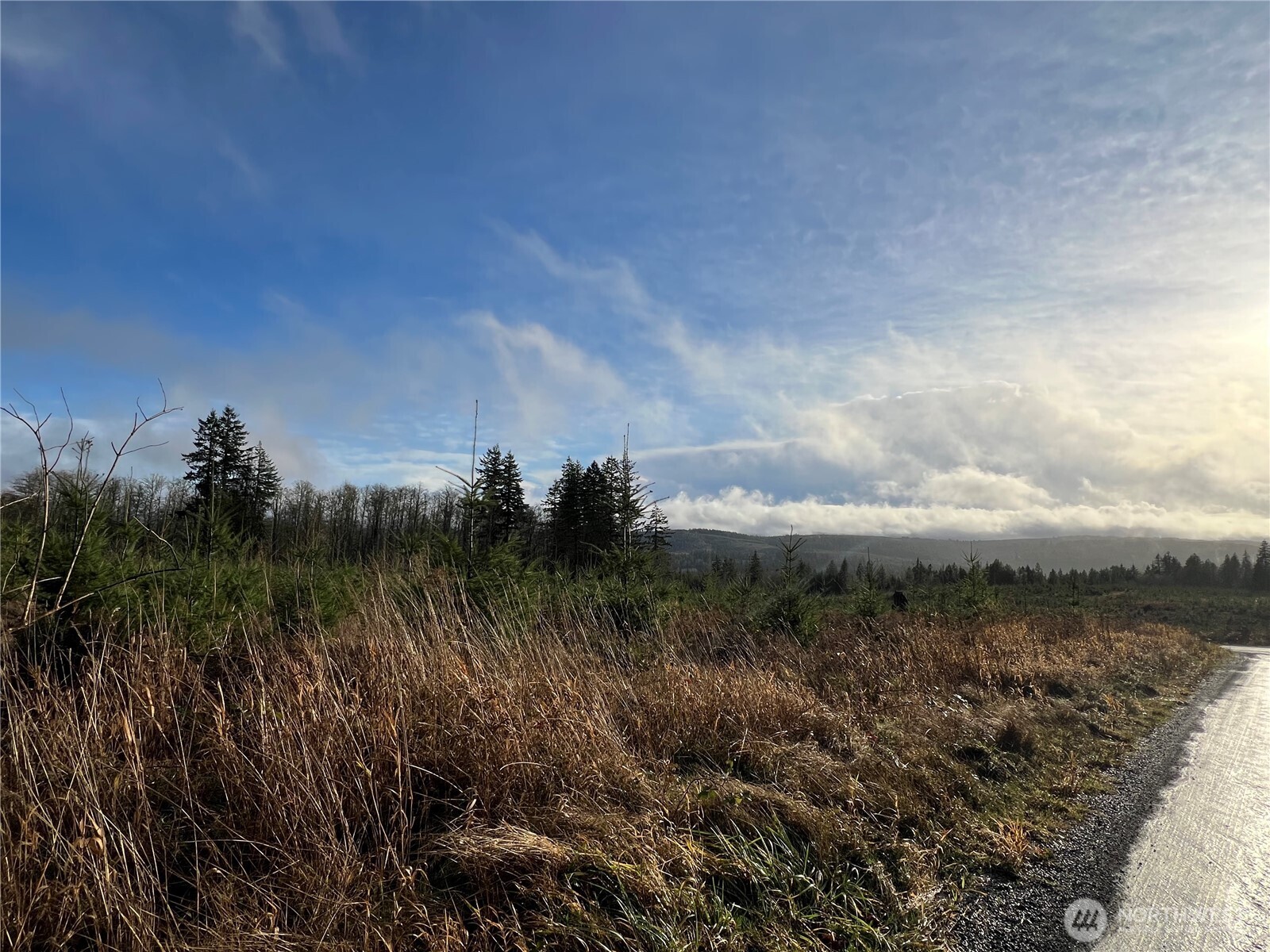 2-xxx Snow Creek Road Quilcene, WA 98376 - Photo 9 of 29