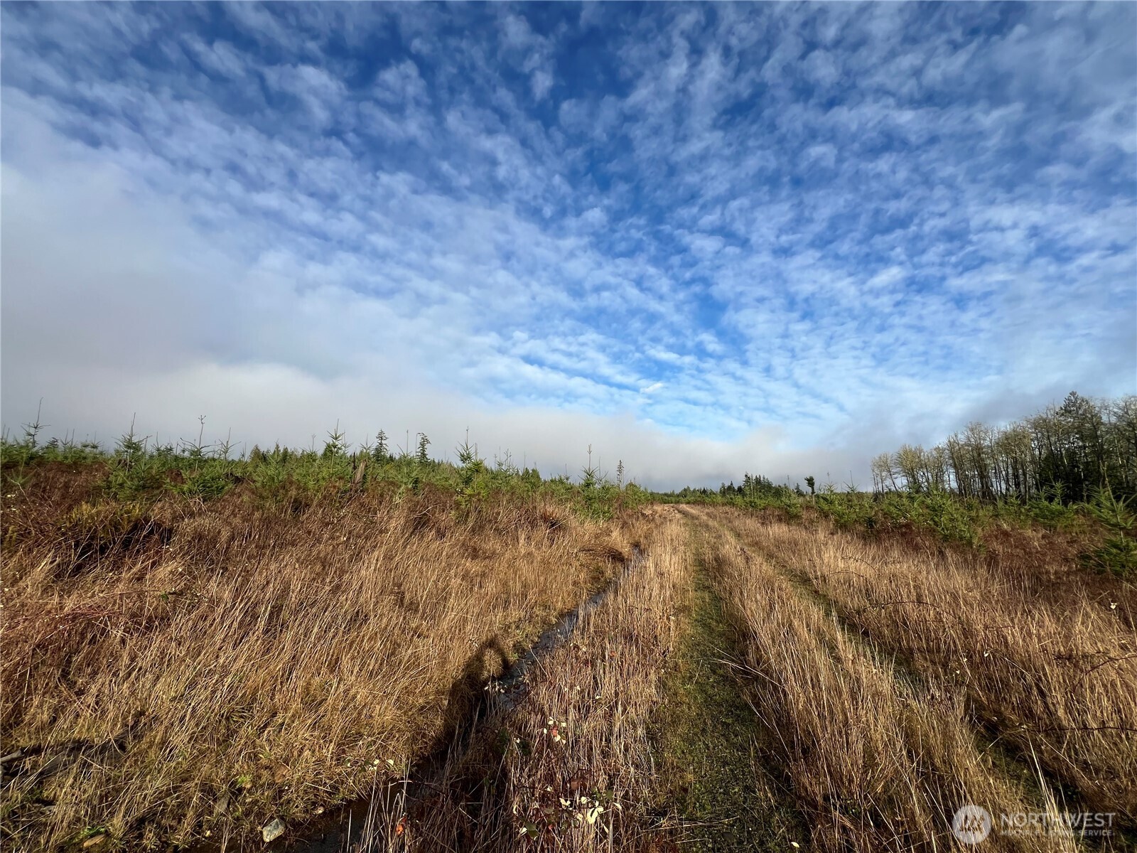 2-xxx Snow Creek Road Quilcene, WA 98376 - Photo 10 of 29