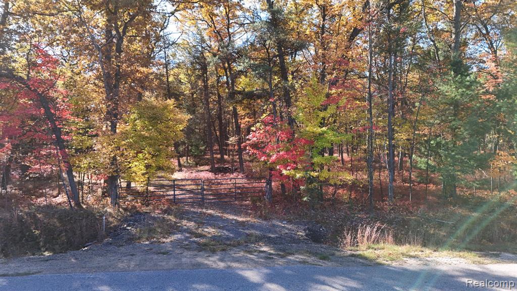 0 Grim Road Bentley, MI 48613 - Photo 9 of 15