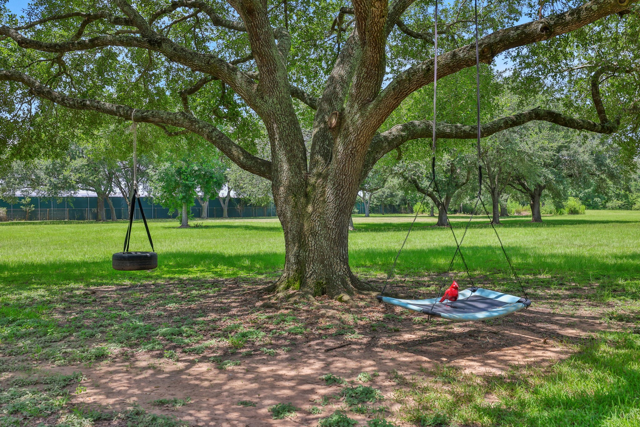 19407 Pine Tree Lane Waller, TX 77484 - Photo 32 of 39 a view of a park with a tree