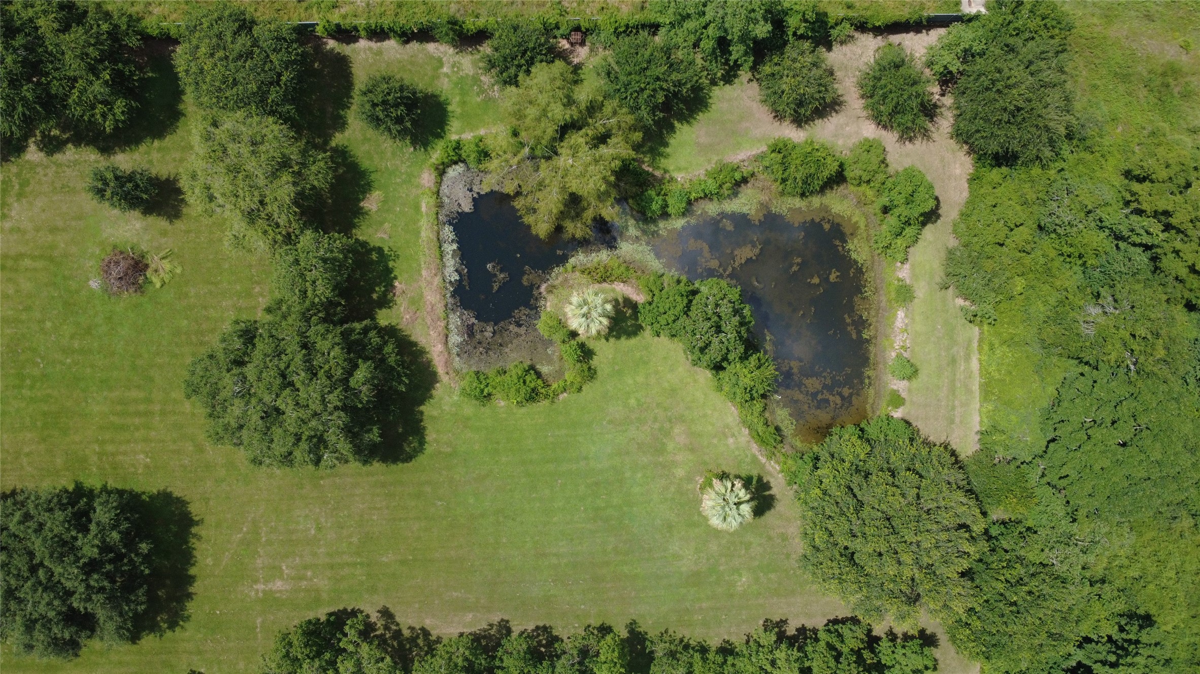 19407 Pine Tree Lane Waller, TX 77484 - Photo 37 of 39 a view of a garden