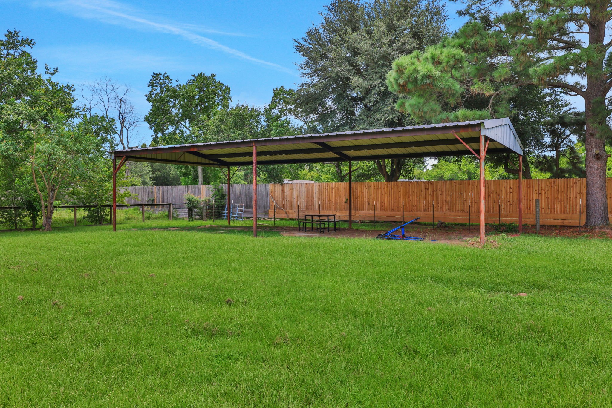 19407 Pine Tree Lane Waller, TX 77484 - Photo 5 of 39 a view of yard with a small yard
