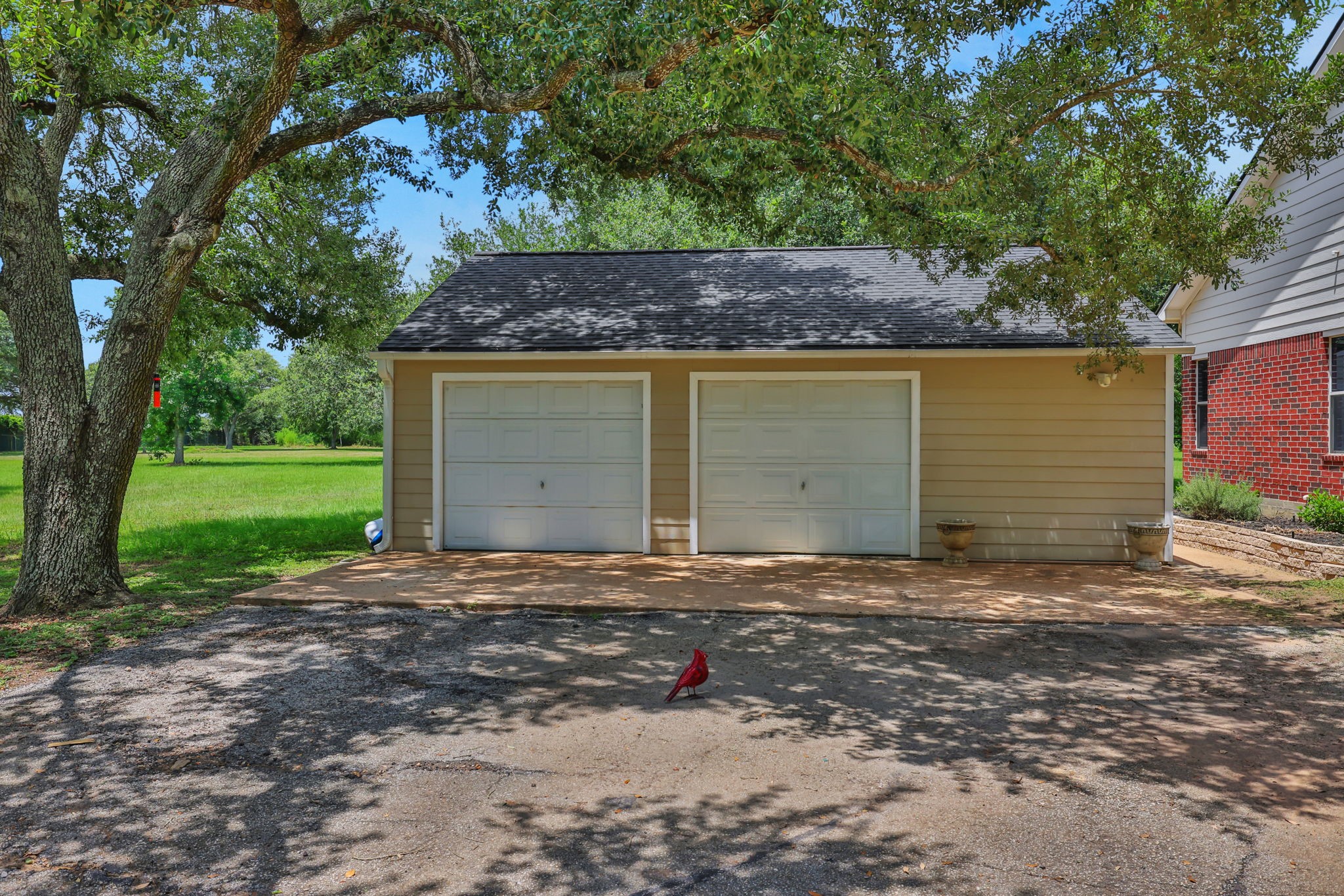 19407 Pine Tree Lane Waller, TX 77484 - Photo 6 of 39 a backyard of a house with lots of green space