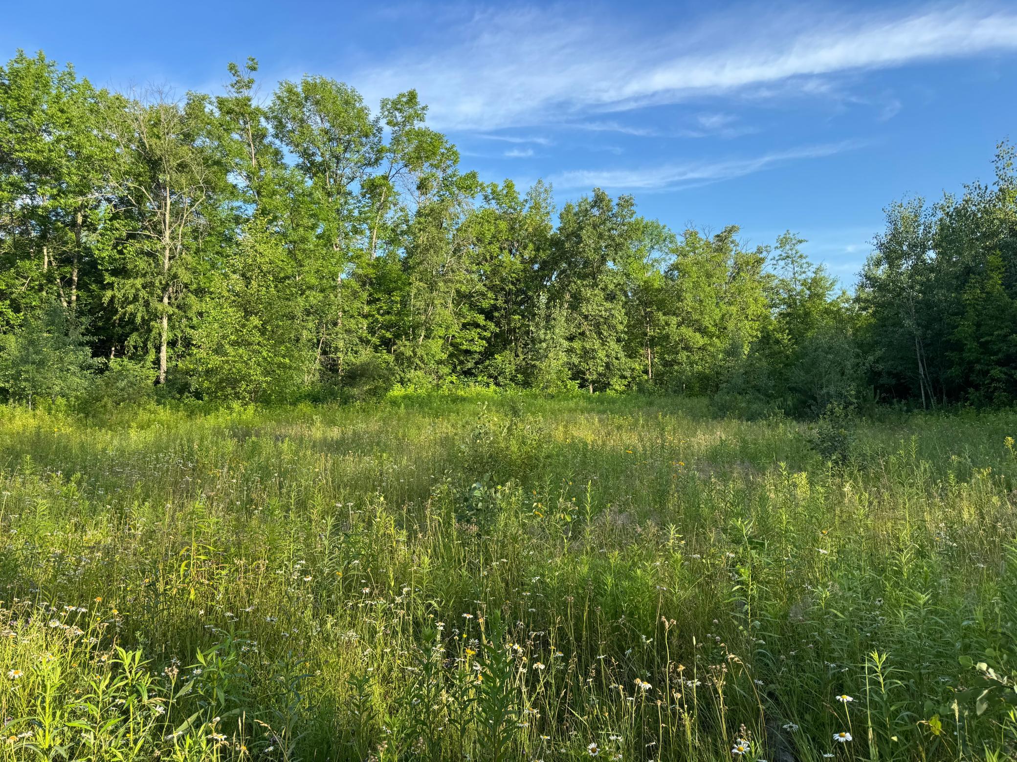 Tbd-1 North Riverside Road Moose Lake, MN 55767 - Photo 4 of 24