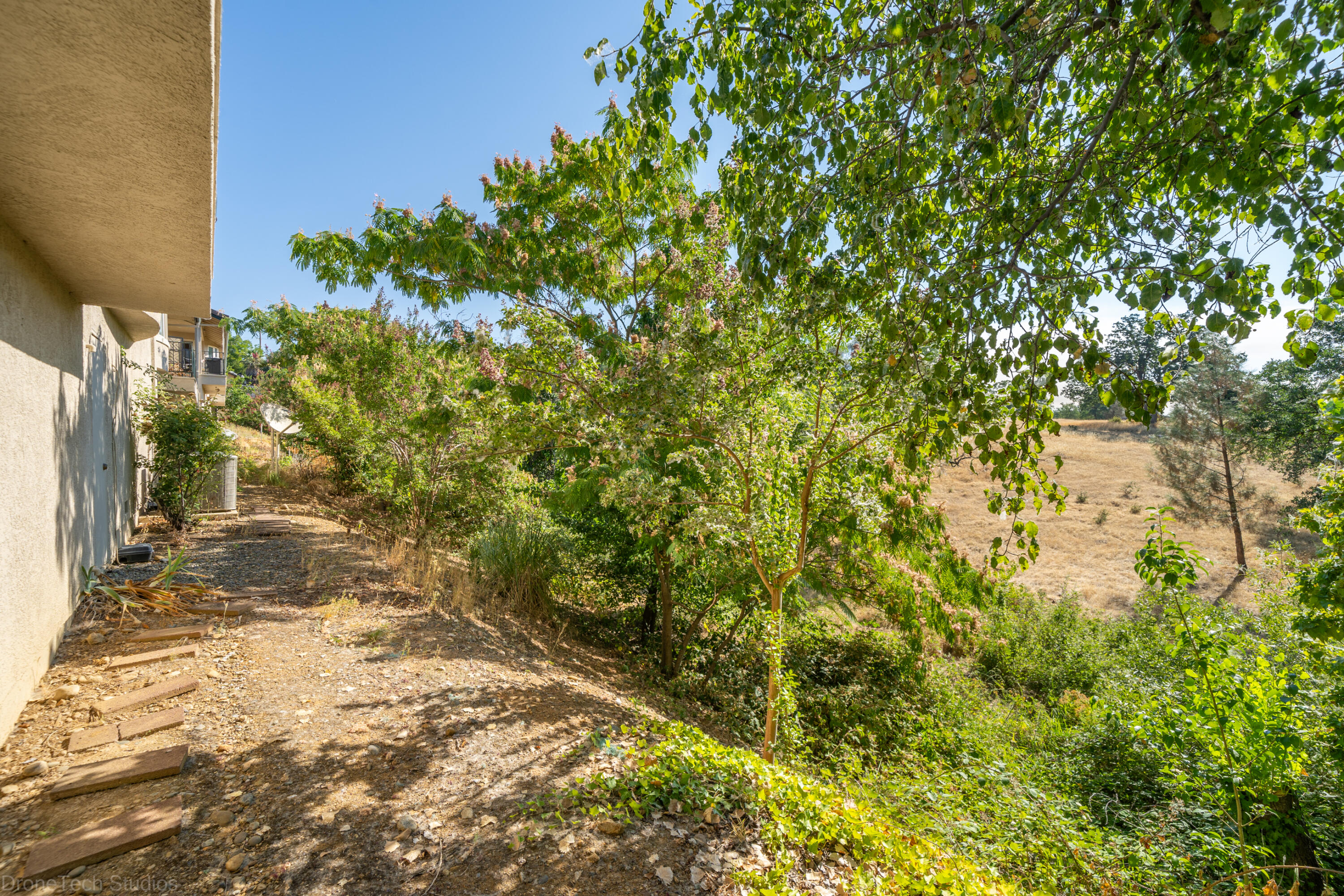833 Cherryhill Trail Redding, CA 96003 - Photo 31 of 42 a view of a yard with plants
