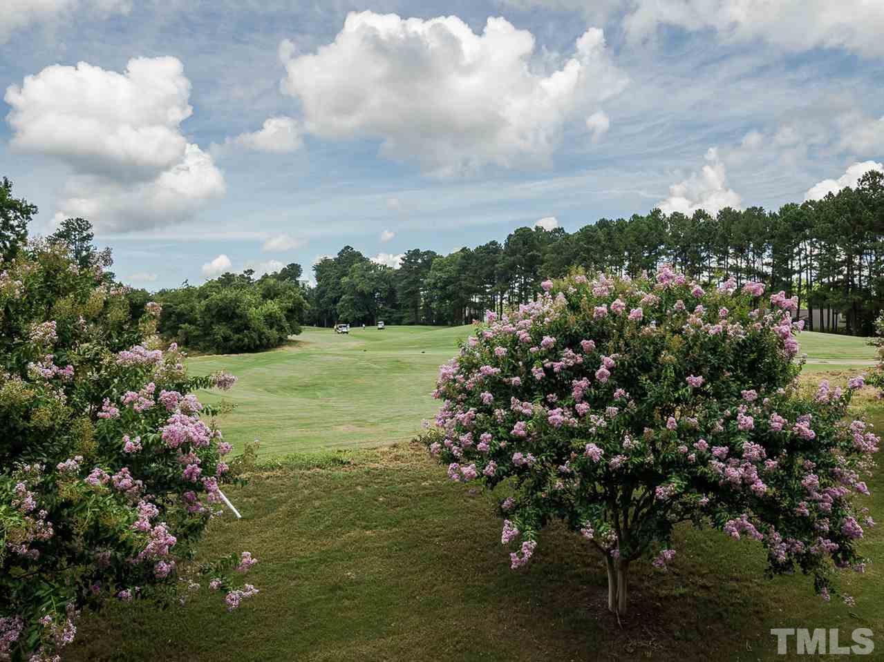 3005 Imperial Oaks Drive Raleigh, NC 27614 - Photo 25 of 25 a view of a garden