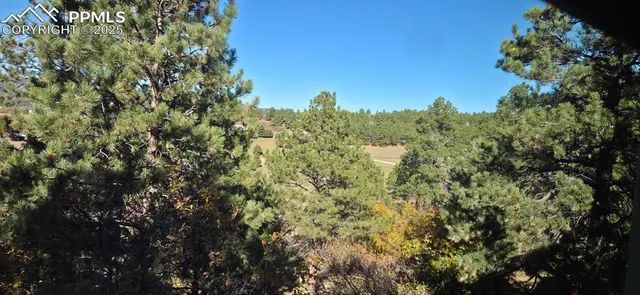 a view of a yard with a tree