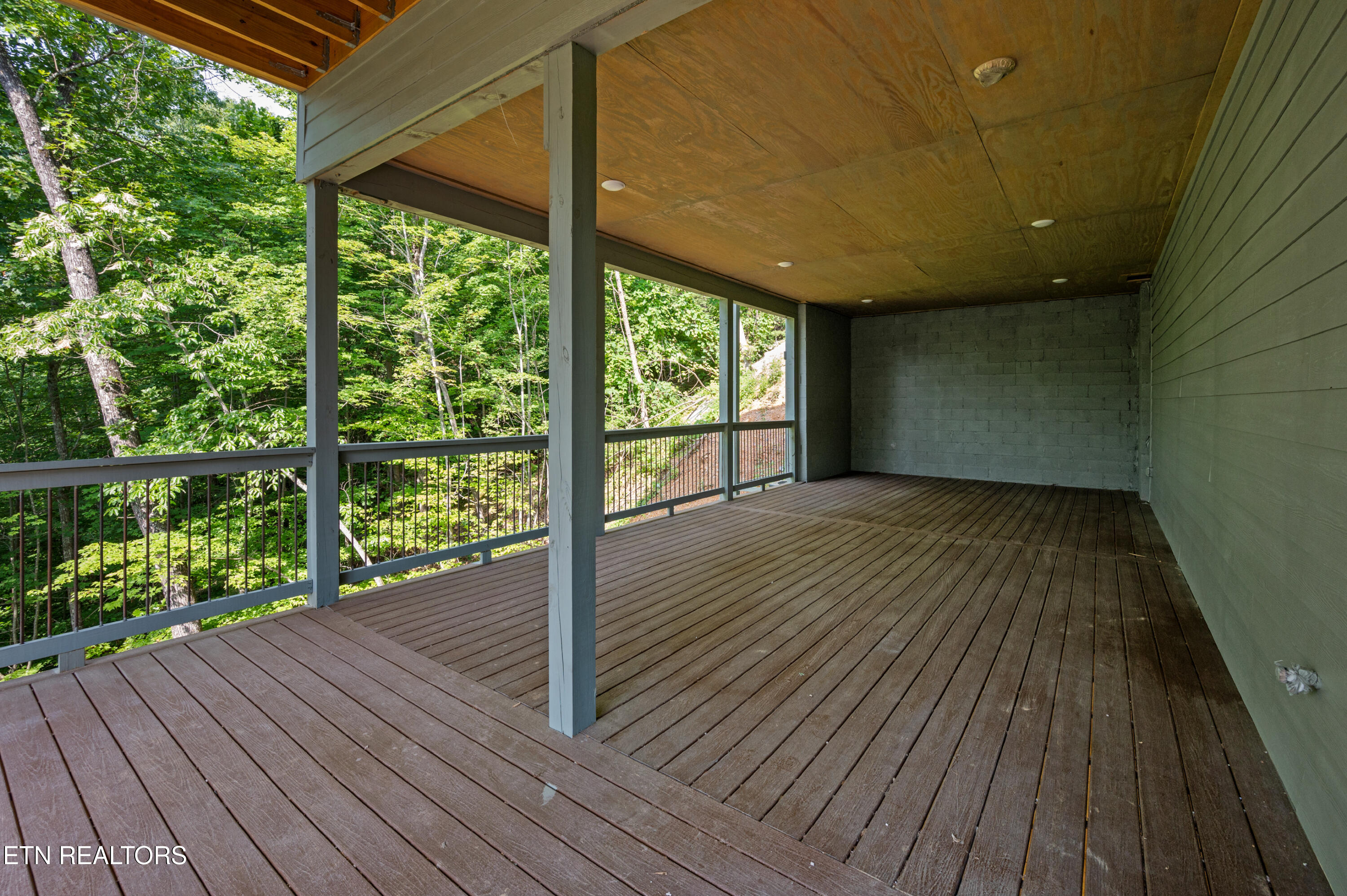 3047 Redtail Road Sevierville, TN 37862 - Photo 40 of 45 DSC_7565