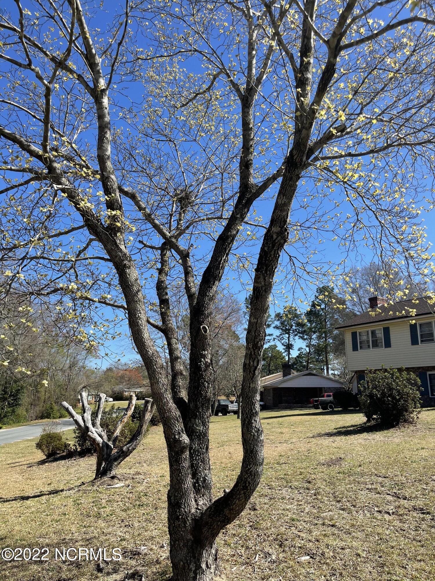 100 Ivy Trail Rockingham, NC 28379 - Photo 4 of 45 Photo Mar 21, 11 22 48 AM