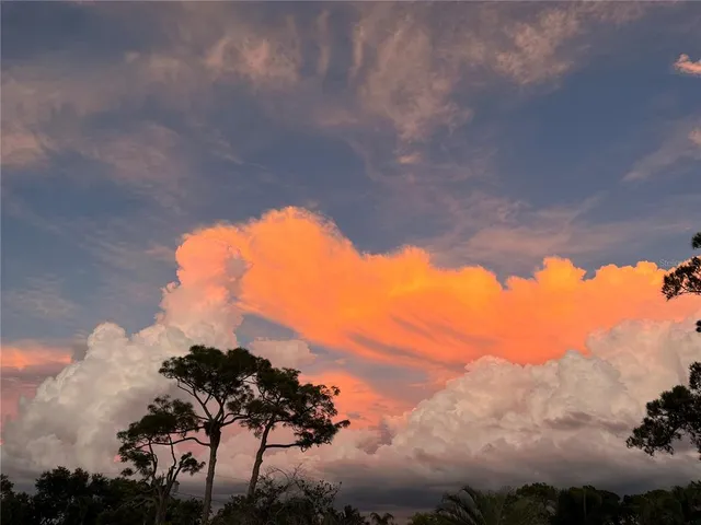 $965,000 | 109 Peterson Lane, Palm Harbor, FL 34683