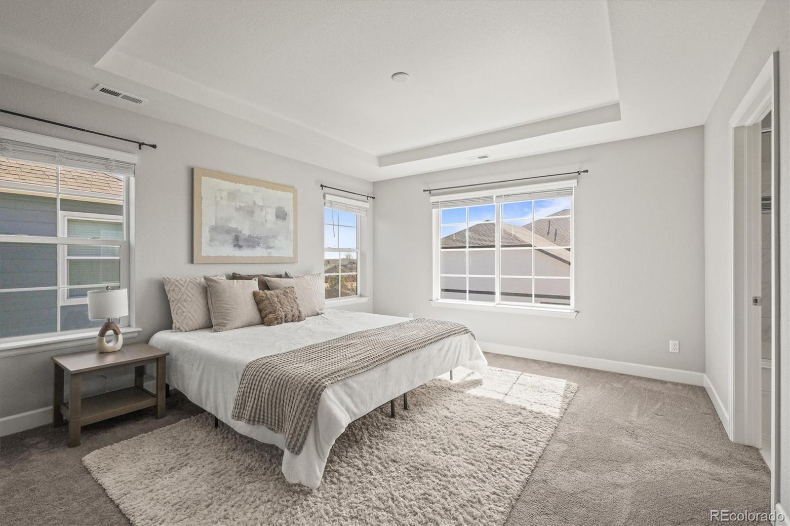 1624 Pinion Wing Circle Castle Rock, CO 80108 - Photo 5 of 47