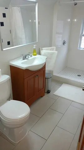 a bathroom with a sink a toilet and mirror