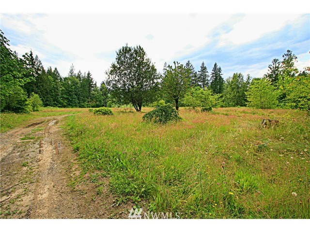 46455 Baker Loop Road Concrete, WA 98237 - Photo 1 of 6 Gallery Image 1