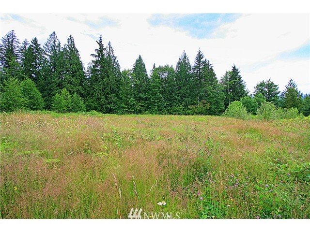 46455 Baker Loop Road Concrete, WA 98237 - Photo 2 of 6 Gallery Image 2