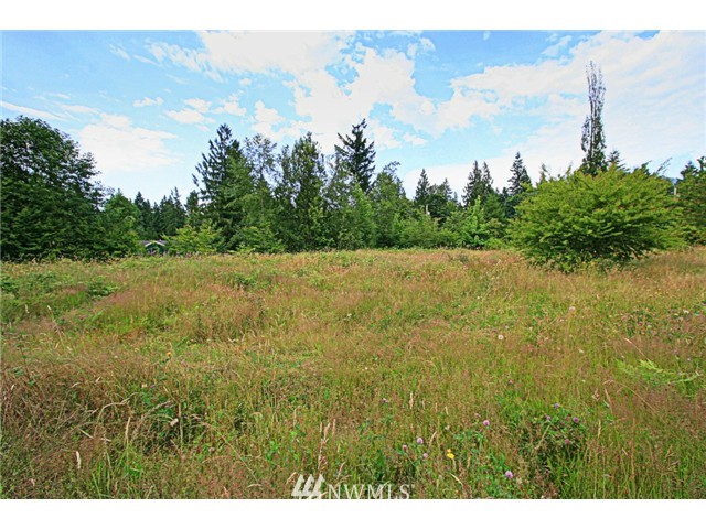 46455 Baker Loop Road Concrete, WA 98237 - Photo 3 of 6 Gallery Image 3