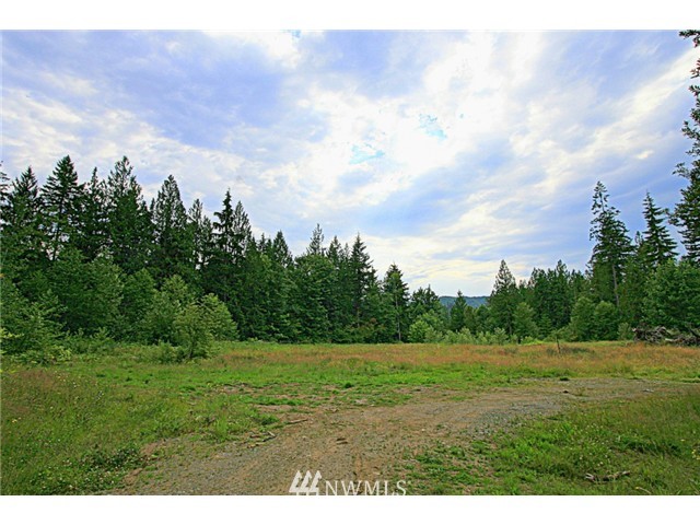 46455 Baker Loop Road Concrete, WA 98237 - Photo 4 of 6 Gallery Image 4