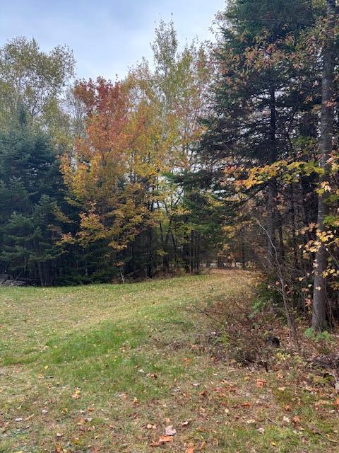 125 Campbell Road Harmony, ME 04942 - Photo 19 of 22 IMG_2029