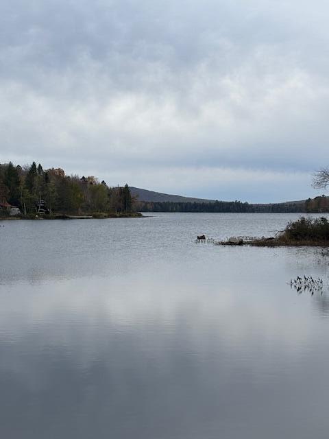 125 Campbell Road Harmony, ME 04942 - Photo 20 of 22 IMG_2031