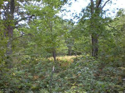 South Taylor Road Branch, MI 49402 - Photo 1 of 4 Primary Photo