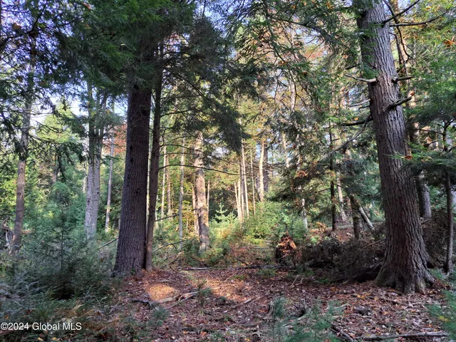 $299,900 | L9 Atateka Road, Chestertown, NY 12817