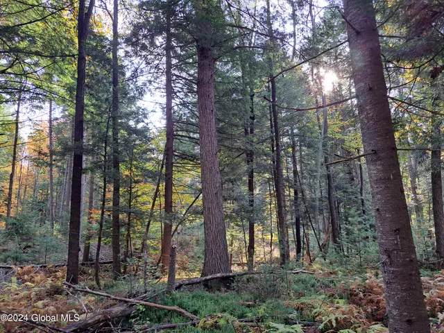 $299,900 | L9 Atateka Road, Chestertown, NY 12817