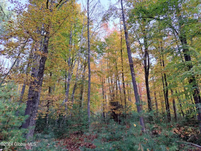 $299,900 | L9 Atateka Road, Chestertown, NY 12817