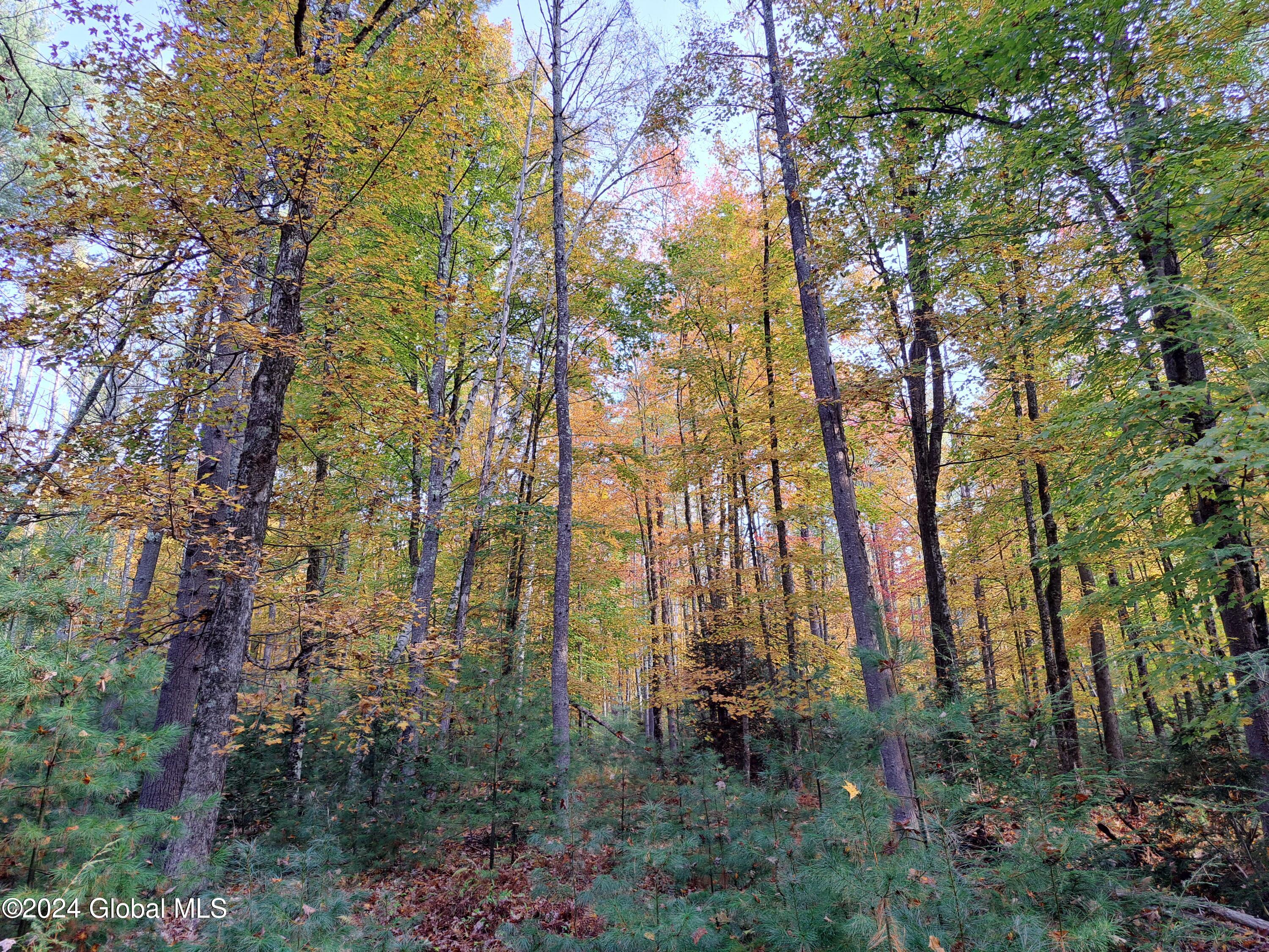 L9 Atateka Road Chestertown, NY 12817 - Photo 18 of 71 19 Fall Colors