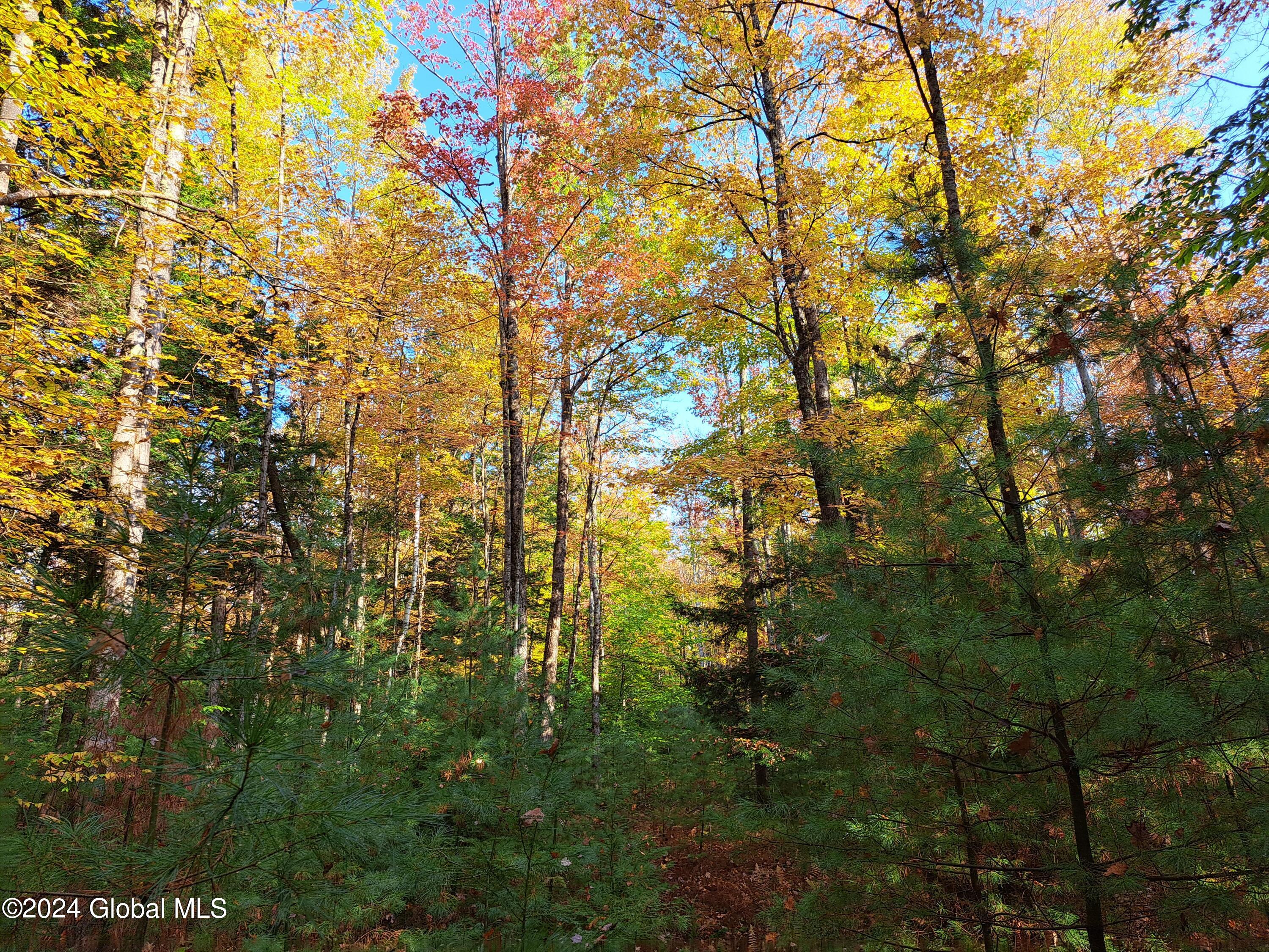 L9 Atateka Road Chestertown, NY 12817 - Photo 19 of 71 20 Maples over Pine