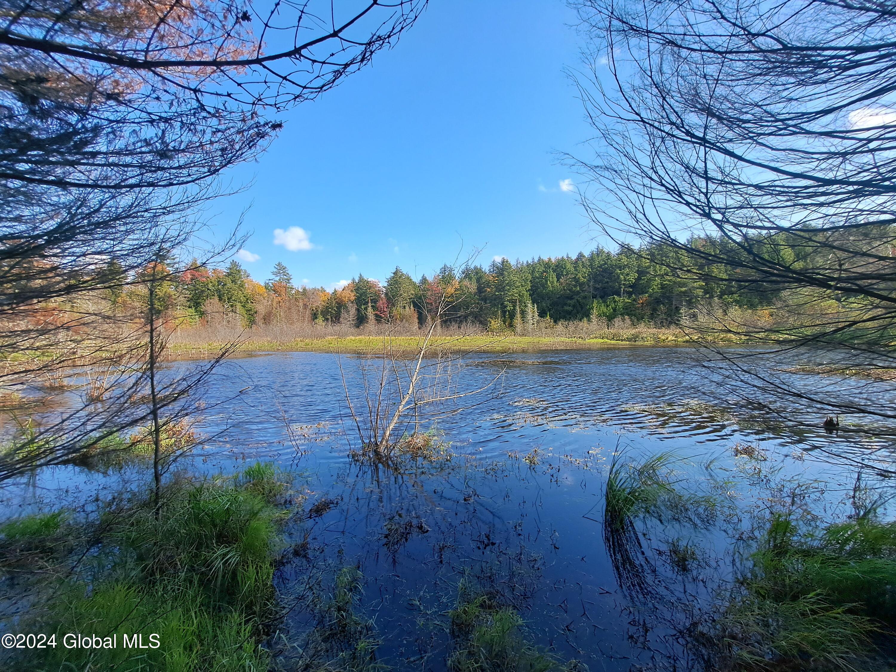 L9 Atateka Road Chestertown, NY 12817 - Photo 2 of 71 02 Beaver Pond
